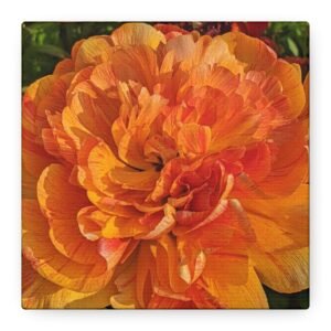 Sunlovers Double Tulip - Square  - Matte Canvas, Stretched, 1.25"